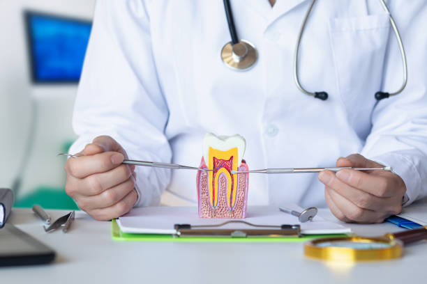 Best Dentist for Severe Toothache  in Huntersville, NC